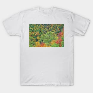 Autumn Forest Steestachee Bald Overlook Blue Ridge Parkway T-Shirt